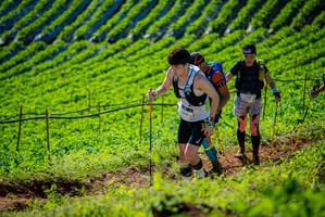 BIB: 
                            <button type="button" onclick="openModal(19161360)" class="btn btn-primary btn-sm float-right btn-popup" data-toggle="modal" data-target=".modal-high-quality">
                        <i class="fas fa-shopping-cart"></i> Add to Cart
                    </button>
                                            <button type="button" onclick="isThisMe(19161360, true)" class="btn btn-success btn-sm float-right btn-popup btn-isme hidden" data-toggle="tooltip" data-placement="bottom" title="นี่คือรูปของคุณใช่ไหม คลิกที่นี่เพื่อเอาเข้าอัลบั้ม">
                        <i class="fas fa-plus"></i> Add to album
                    </button>
                    <button type="button" onclick="isThisMe(19161360, false)" class="btn btn-warning btn-sm float-right btn-popup btn-isnotme hidden">
                        <i class="fas fa-ban"></i> Remove from album
                    </button>